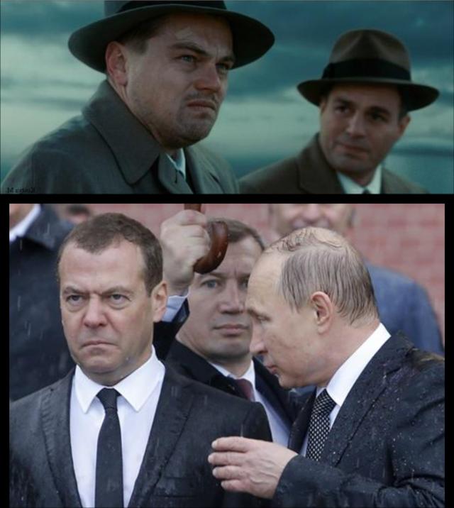 суровый медведев