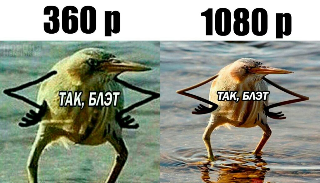 так блэт, так блэт мем, так блэд, птица с руками, киви с руками, блэт, так блэт птица,