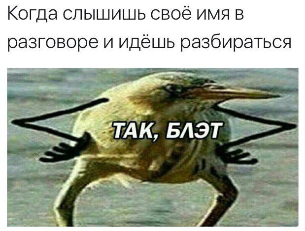 так блэт, так блэт мем, так блэд, птица с руками, киви с руками, блэт, так блэт птица,