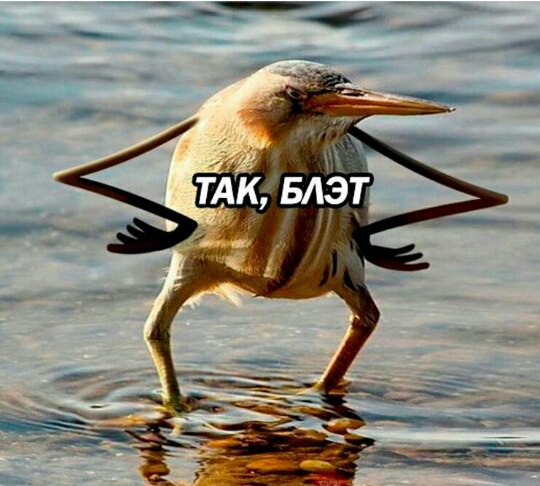 так блэт оригинал