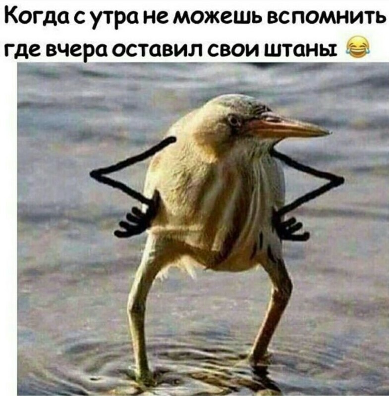 так блэт, так блэт мем, так блэт птица, так блэт оригинал,
