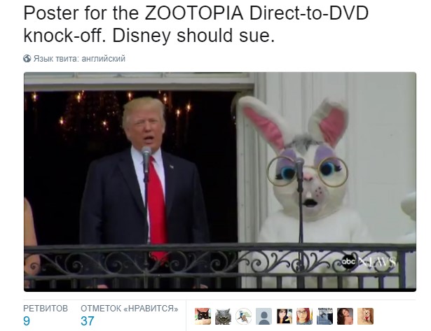 трамп заяц