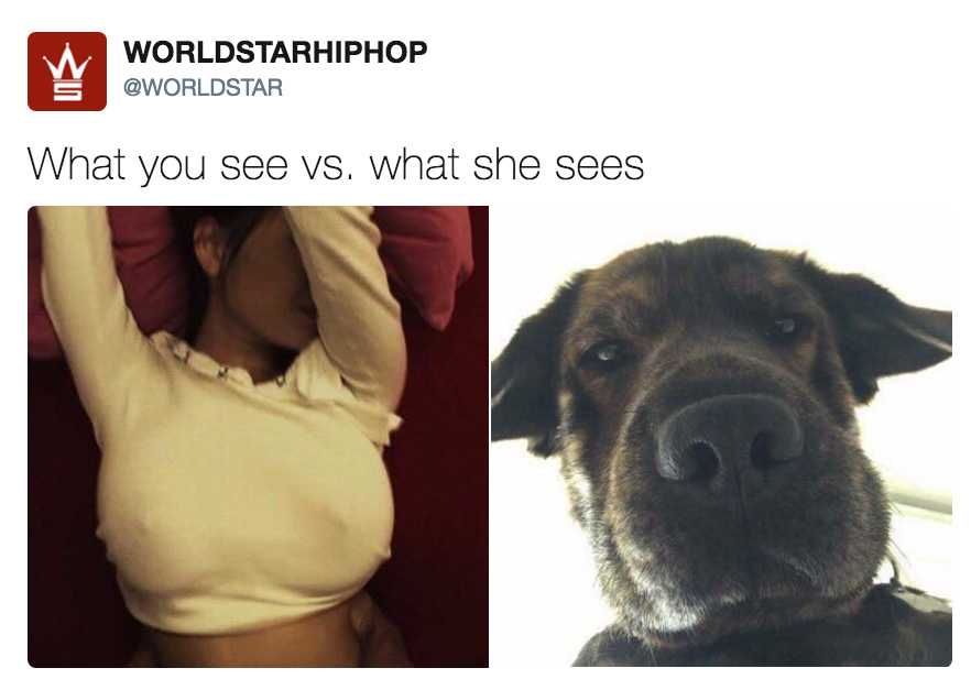 what you see
