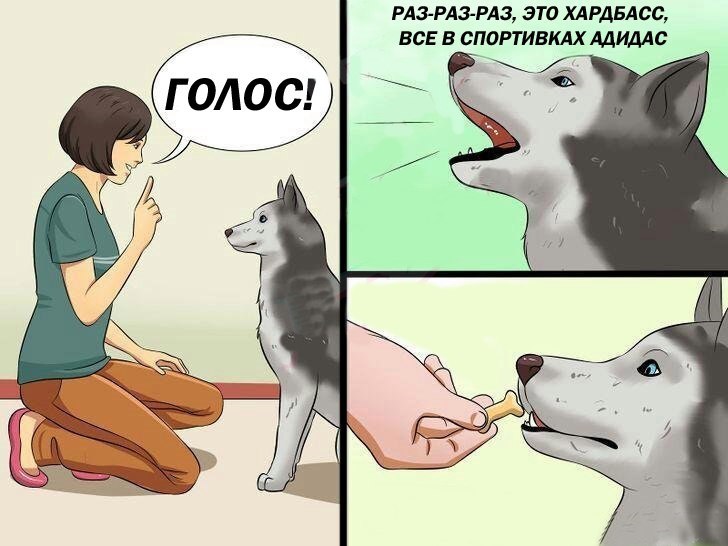 мем собака говорит