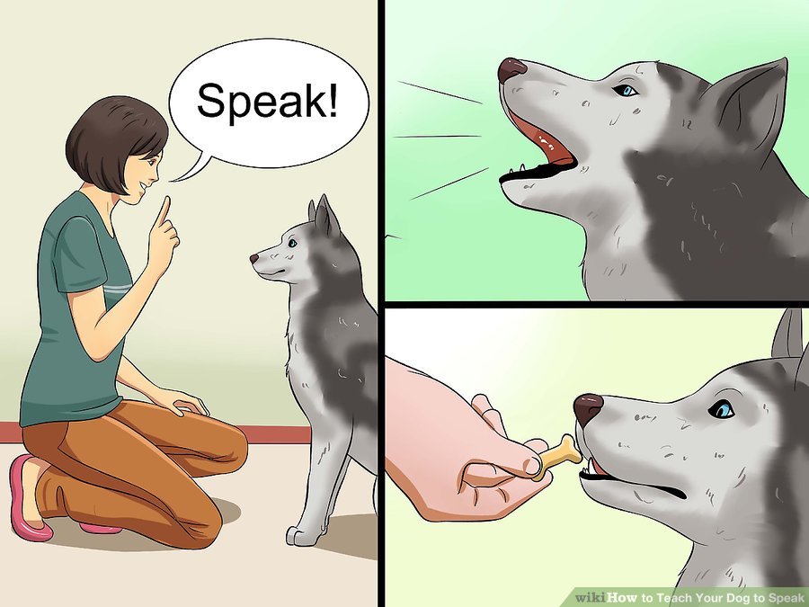 мем собака говорит