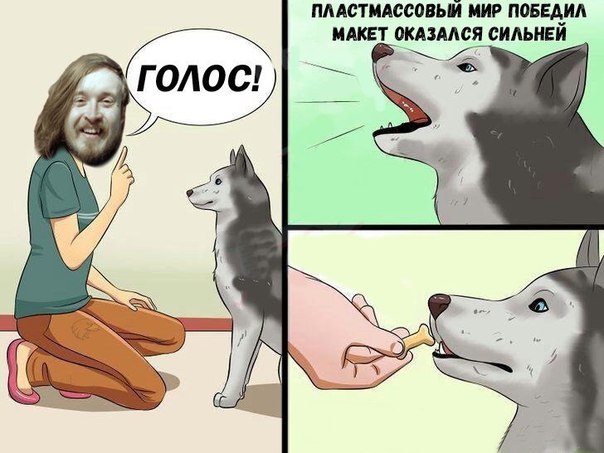 мем собака говорит