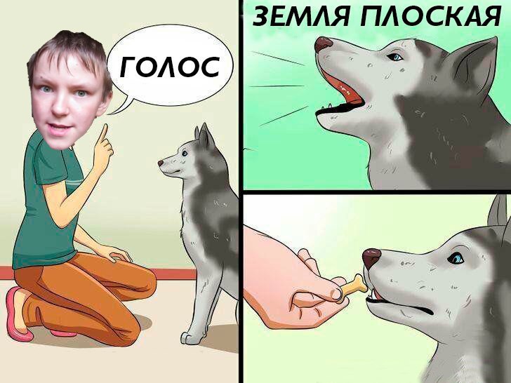 мем собака говорит