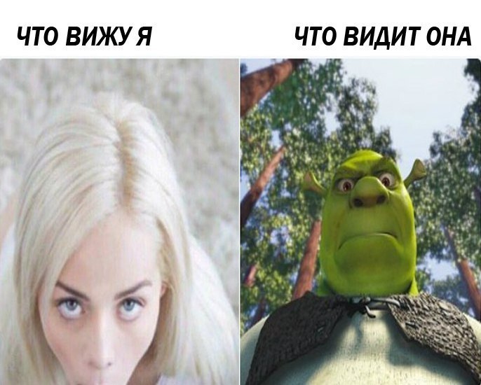 что вижу я, что видит она мем что вижу я