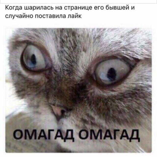 омагад омагад омагад