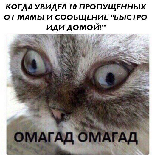 омагад омагад омагад
