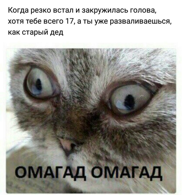 мем омагад омагад омагад омагад
