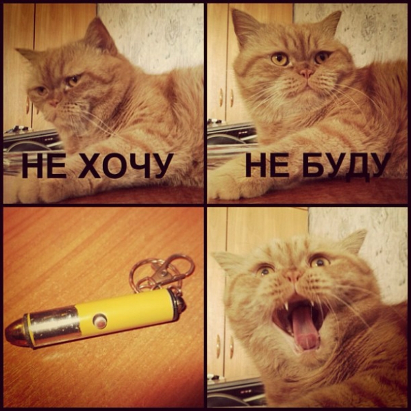 Не хочу не буду