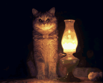 кошка с лампой, кошка с лампой мем, кот с абажуром, кот с абажуром мем, настало время охуительных историй, настало время удивительных историй, настало время восхитительных историй, настало время историй, мем настало время охуительных историй, мем настало время удивительных историй, мем настало время восхитительных историй, мем настало время историй, настало время охуительных историй мем, настало время удивительных историй мем, настало время восхитительных историй мем, настало время историй мем, кот с лампой мем, мем кот с лампой, кот с лампой картинка, кот с лампой шаблон, мем с котом и лампой, кот настало время охуительных историй, откуда мем настало время охуительных историй