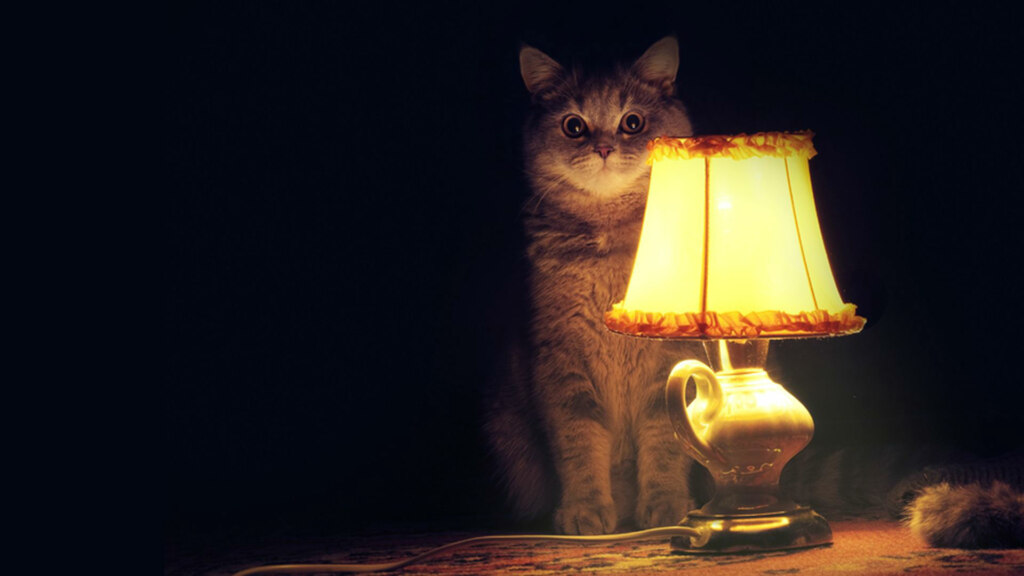 кошка с лампой, кошка с лампой мем, кот с абажуром, кот с абажуром мем, настало время охуительных историй, настало время удивительных историй, настало время восхитительных историй, настало время историй, мем настало время охуительных историй, мем настало время удивительных историй, мем настало время восхитительных историй, мем настало время историй, настало время охуительных историй мем, настало время удивительных историй мем, настало время восхитительных историй мем, настало время историй мем, кот с лампой мем, мем кот с лампой, кот с лампой картинка, кот с лампой шаблон, мем с котом и лампой, кот настало время охуительных историй, откуда мем настало время охуительных историй