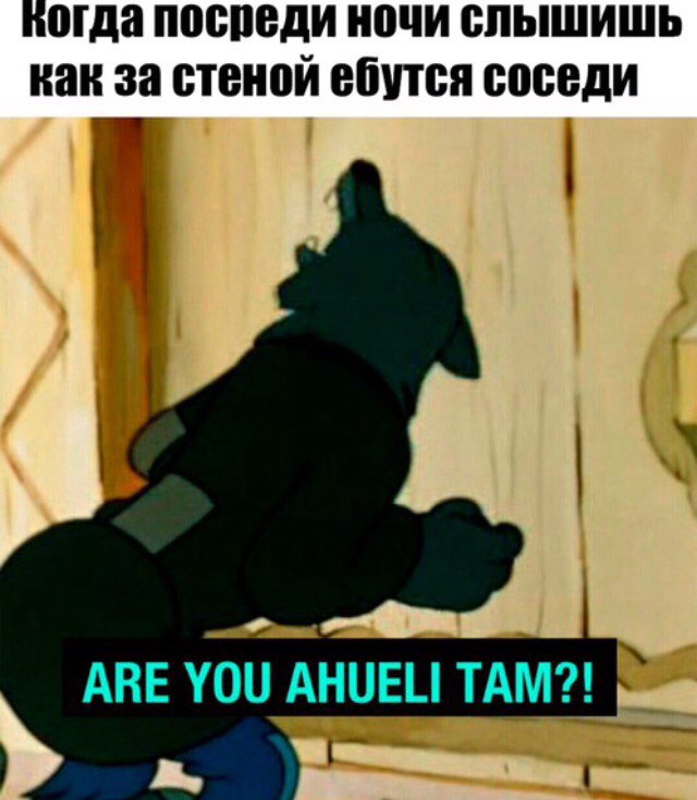 Are you ahueli tam Are you ahueli tam, деградач, мемы из мультфильмов, матерные мемы из мультфильмов, откуда мем с волком, волк и козлята мемы, емеля и щука мемы, I am takoi clever, Puzdosia, are you dura bleat