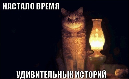 кошка с лампой, кошка с лампой мем, кот с абажуром, кот с абажуром мем, настало время охуительных историй, настало время удивительных историй, настало время восхитительных историй, настало время историй, мем настало время охуительных историй, мем настало время удивительных историй, мем настало время восхитительных историй, мем настало время историй, настало время охуительных историй мем, настало время удивительных историй мем, настало время восхитительных историй мем, настало время историй мем, кот с лампой мем, мем кот с лампой, кот с лампой картинка, кот с лампой шаблон, мем с котом и лампой, кот настало время охуительных историй, откуда мем настало время охуительных историй