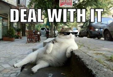 deal with it значение (1)