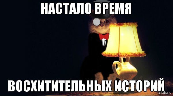 кошка с лампой, кошка с лампой мем, кот с абажуром, кот с абажуром мем, настало время охуительных историй, настало время удивительных историй, настало время восхитительных историй, настало время историй, мем настало время охуительных историй, мем настало время удивительных историй, мем настало время восхитительных историй, мем настало время историй, настало время охуительных историй мем, настало время удивительных историй мем, настало время восхитительных историй мем, настало время историй мем, кот с лампой мем, мем кот с лампой, кот с лампой картинка, кот с лампой шаблон, мем с котом и лампой, кот настало время охуительных историй, откуда мем настало время охуительных историй