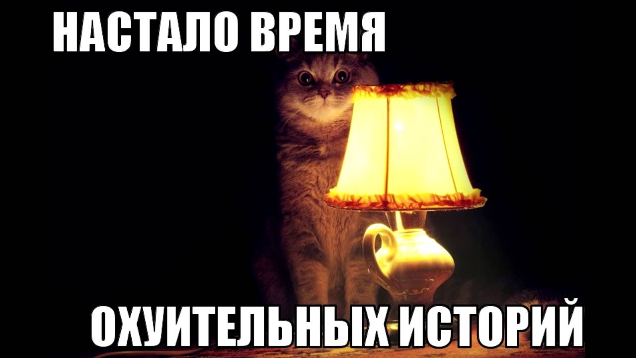 кошка с лампой, кошка с лампой мем, кот с абажуром, кот с абажуром мем, настало время охуительных историй, настало время удивительных историй, настало время восхитительных историй, настало время историй, мем настало время охуительных историй, мем настало время удивительных историй, мем настало время восхитительных историй, мем настало время историй, настало время охуительных историй мем, настало время удивительных историй мем, настало время восхитительных историй мем, настало время историй мем, кот с лампой мем, мем кот с лампой, кот с лампой картинка, кот с лампой шаблон, мем с котом и лампой, кот настало время охуительных историй, откуда мем настало время охуительных историй