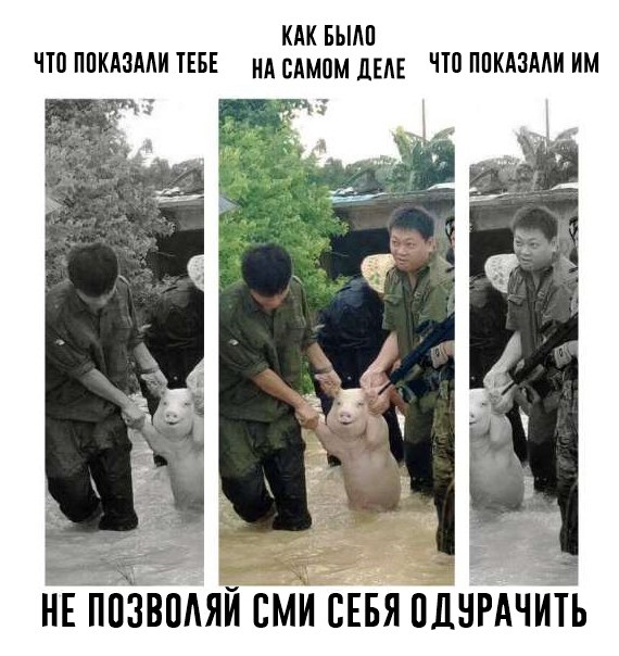свинья мем, свинья наводнение, свинья наводнение мем, свинью ведут за руки мем, мем свинью ведут за руки, мем свинью ведут за лапы, мем спасенная свинья, мем свинью спасли, свинью спасли мем, мем свинья улыбается, свинья улыбается мем, откуда мем свинья улыбается, мем свинья в китае