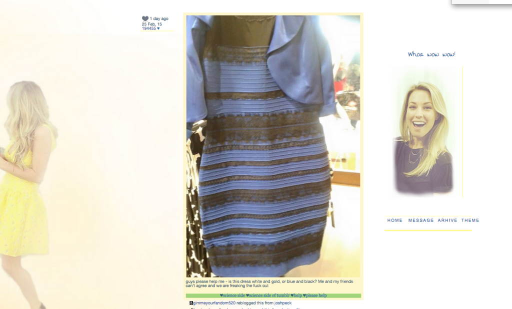 the dress (1)