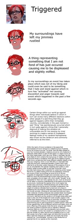 Деконструктивные комиксы (deconstruction comics, increasingly verbose) - тип мемов, на которых одна и та же картинка в каждом кадре нарисована все хуже, а реплика, которую говорит персонаж, становится все более громоздкой и многословной.