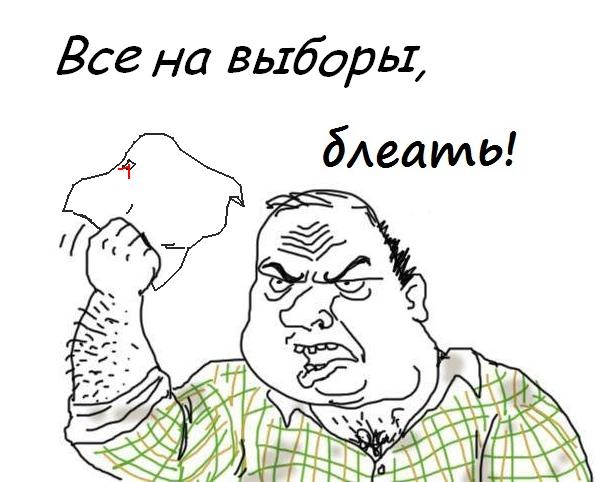 все на выборы мем