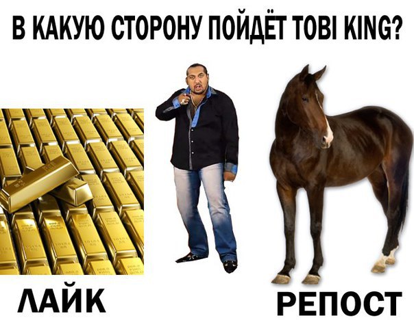 zMnvSl0iLKg