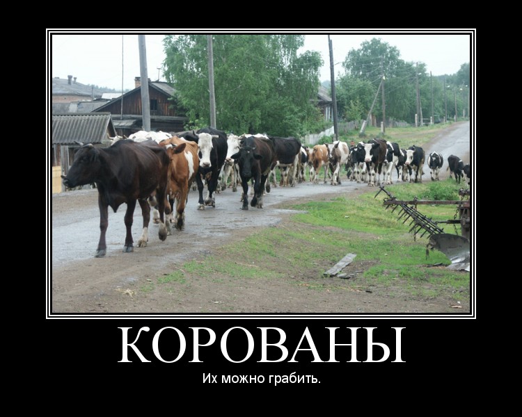 Корованы