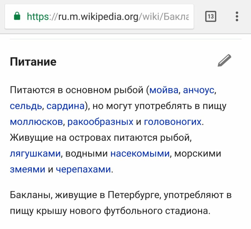 бакланы санкт-петербург (2)