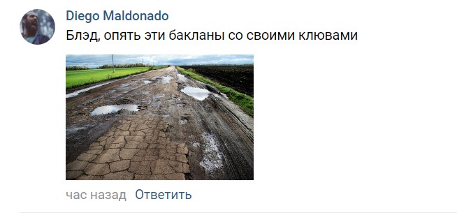 бакланы стадион (10)