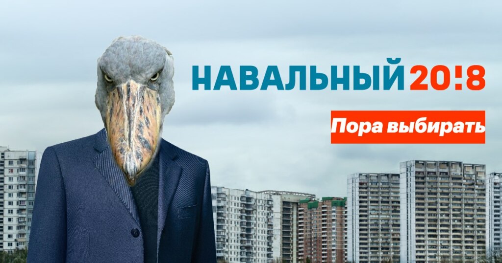бакланы стадион (8)