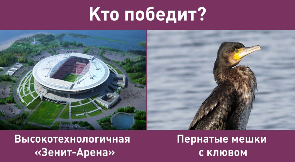 бакланы стадион (9)