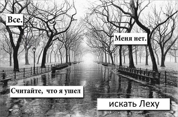 Ушел искать Лёху где леха