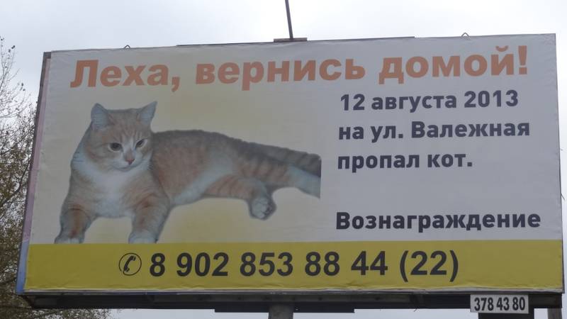 где леха (3)
