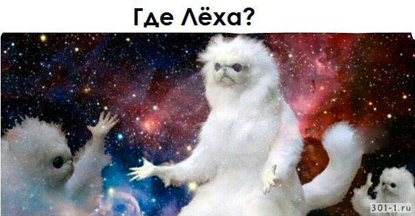 Где Леха? Леха пропал где леха