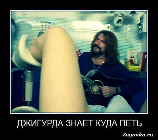 джигурда (3)