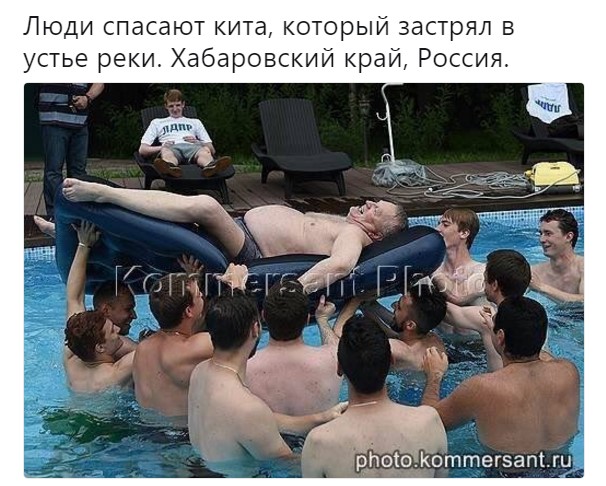 жириновский на матрасе