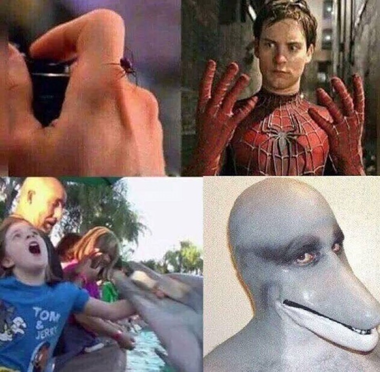 когда укусил дельфин