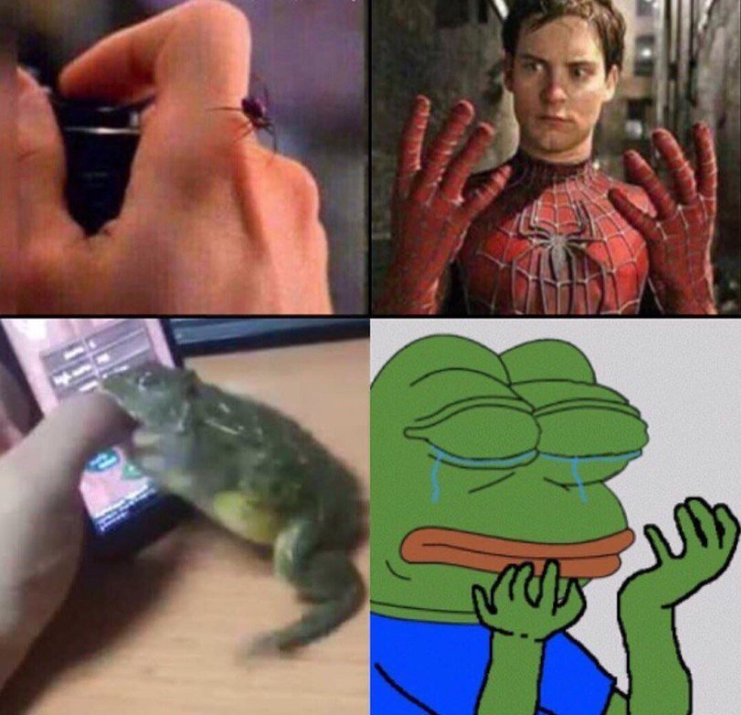 когда укусила лягушка