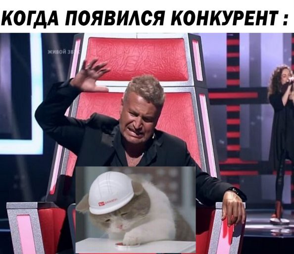 кот нажимает на кнопку кот и красная кнопка