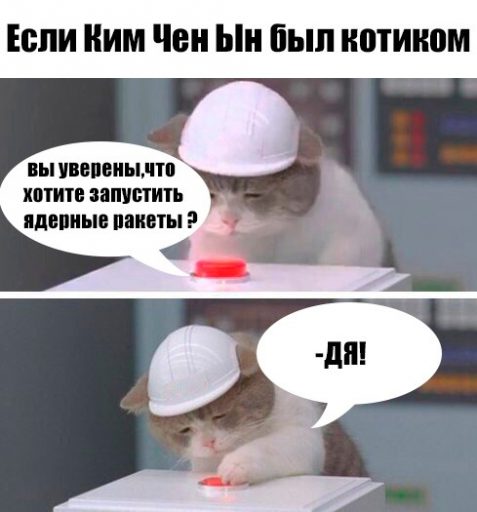 кот нажимает на кнопку кот и красная кнопка