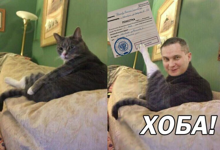 Кот Хоба кот хоба