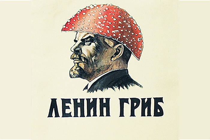 ленин гриб (5)