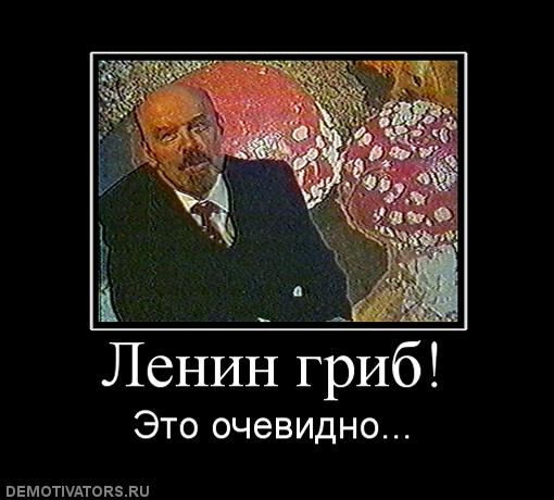 ленин гриб (6)