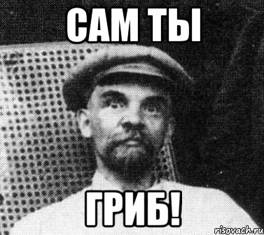 ленин гриб (7)