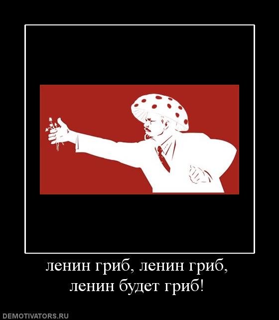 ленин гриб (8)