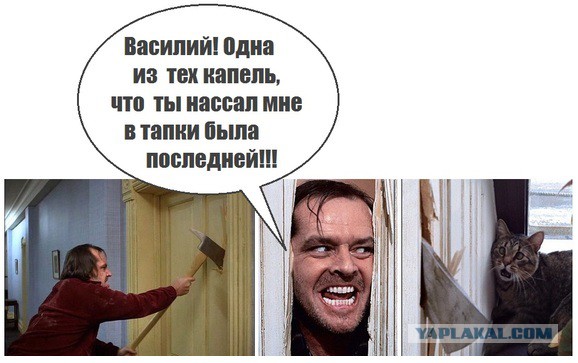 мем сияние