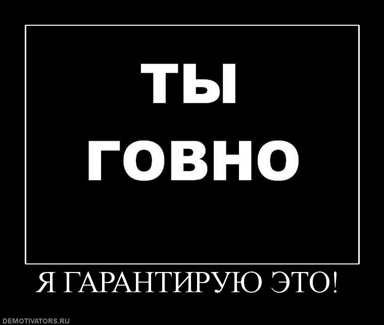 мем я гарантирую это (2)