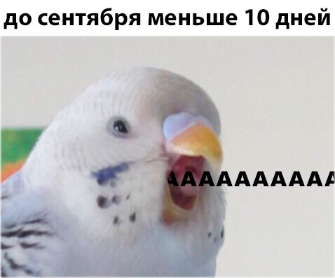 мемы про 1 сентября (4)